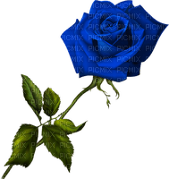 blue rose Bb2 - png gratuito