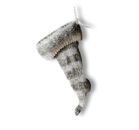 gala Christmas sock - PNG gratuit