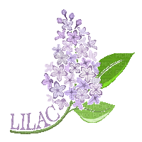 Lilac Flower - GIF animé gratuit