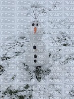 Real Olaf - png gratuito