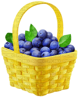 Fruit. Blueberry. Leila - ilmainen png