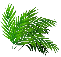 soave deco leaves branch jungle summer green - GIF animé gratuit