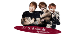 Kaz_Creations Ed Sheeran Singer Music Man Homme Text - PNG gratuit