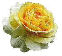 žuta ruža - GIF animé gratuit