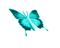 Butterfly, Butterflies, Insect, Insects, Deco, Aqua, GIF - Jitter.Bug.Girl - Gratis animeret GIF