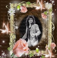 Steve Perry ROR Rose Frame - 免费PNG