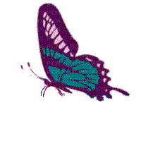 papillom,borboleta gif-l - Бесплатный анимированный гифка