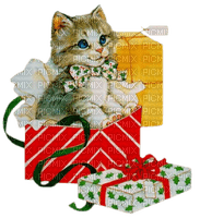 Noël chat - nemokama png