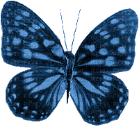 mariposa  gif  dubravka4 - Zdarma animovaný GIF