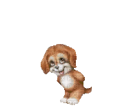 собачка - 無料のアニメーション GIF