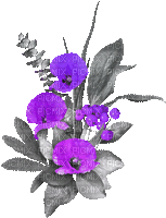 soave deco flowers branch animated poppy black - Free animated GIF