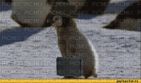 penguin bp - Безплатен анимиран GIF