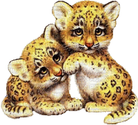 cecily-tigres bebes animes - GIF animado grátis