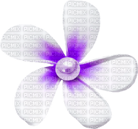 Flower.Pearl.Purple.White - 免费PNG