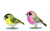 oiseaux - GIF animado gratis