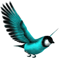 vogel bird blau blue - бесплатно png