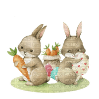 kikkapink spring vintage easter bunny - ücretsiz png