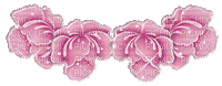 rose rosée - GIF animé gratuit