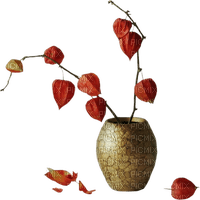 Physalis flower vase , sunshine3 - бесплатно png