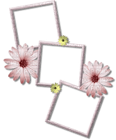 FRAME  FLOWERS   ❤️ elizamio - zdarma png