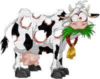 vache - Nemokamas animacinis gif