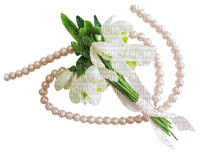 patymirabelle fleurs perce neige - PNG gratuit