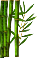 bambus milla1959 - фрее пнг