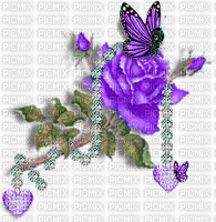 rose violette - Zdarma animovaný GIF