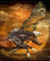 EAGLE HORSE - ingyenes png