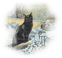 Winter, Katze - kostenlos png