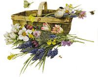 munot - frühling blumen - spring flowers - printemps fleurs - png gratis