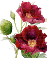 Y.A.M._Vintage Flowers Decor - darmowe png