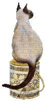 piwik - Gratis geanimeerde GIF