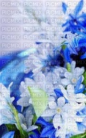 fleur bleu - png ฟรี