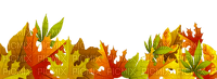 Leaves-RM - PNG gratuit