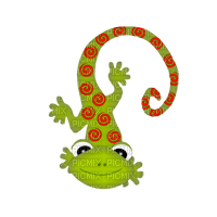 Salamander - zdarma png