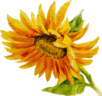 Sunflower Art - kostenlos png