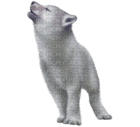 Wolf-RM - Free PNG
