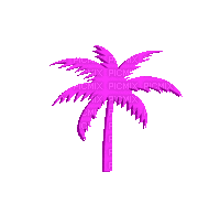 Pink Palm - Free animated GIF