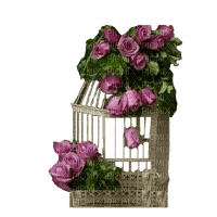 Bird Cage - png ฟรี