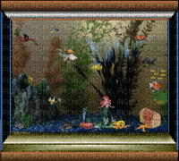 аквариум - 無料のアニメーション GIF