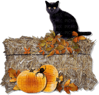 Autumn.Halloween.Cat.Chat.Victoriabea - PNG gratuit