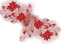 bg-röd-deco--background-red - PNG gratuit