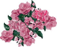 Bloemen en planten - GIF animado grátis