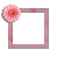 Small Pink Frame - besplatni png