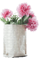 Pfingstrosen, Tüte, Blumen - Gratis geanimeerde GIF