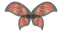 ailes ( - 無料のアニメーション GIF