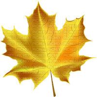autumn leaf Bb2 - PNG gratuit