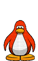 Club Penguin - Darmowy animowany GIF