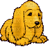 chien roux - Bezmaksas animēts GIF